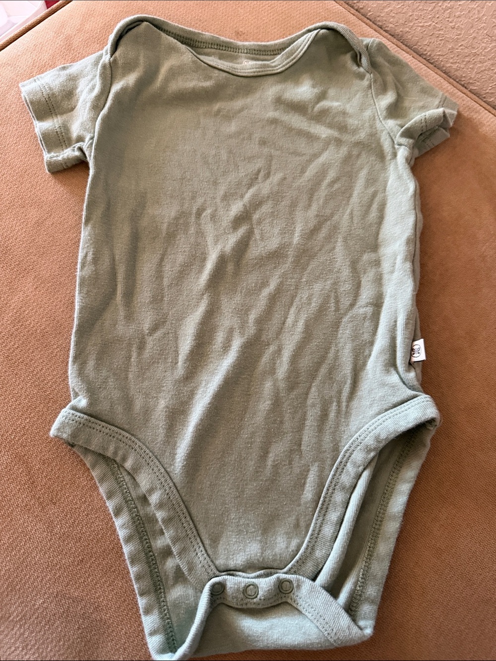Honest Soft Sage 100% Cotton Short-Sleeve Baby One-Piece Bodysuit 12M